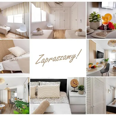 Hola Amigo's Playa Locos *