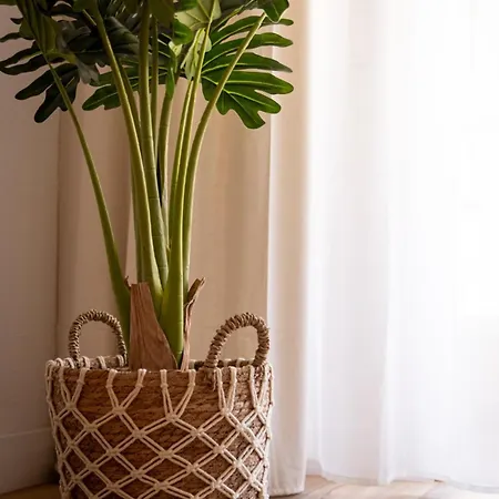 Hola Amigo's Playa Locos *