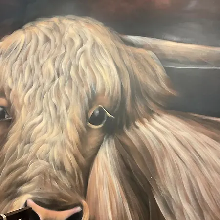 Hola Amigo's Playa Locos 또레비에하