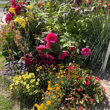 Apartment Hola Amigo's Playa Locos *