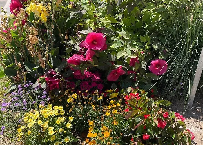 Apartment Hola Amigo's Playa Locos *